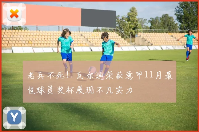 老兵不死！瓦尔迪荣获意甲11月最佳球员奖杯展现不凡实力