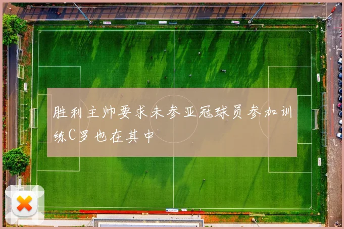 胜利主帅要求未参亚冠球员参加训练C罗也在其中