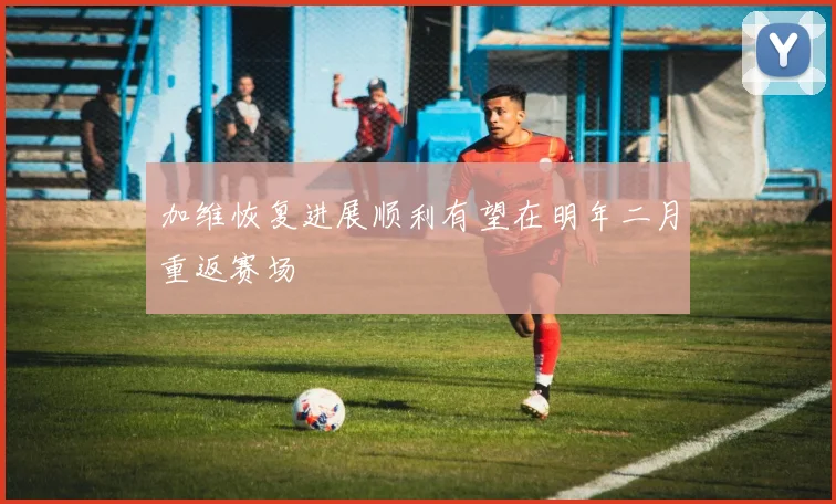 加维恢复进展顺利有望在明年二月重返赛场