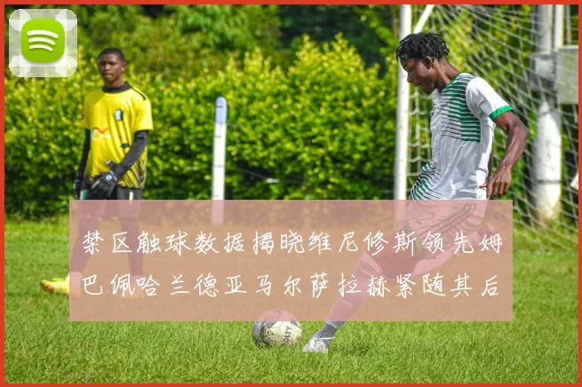 禁区触球数据揭晓维尼修斯领先姆巴佩哈兰德亚马尔萨拉赫紧随其后