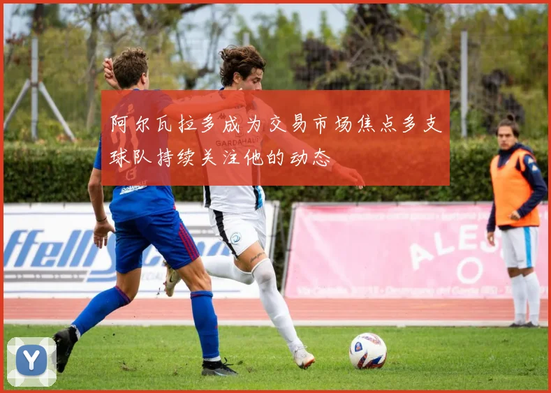 阿尔瓦拉多成为交易市场焦点多支球队持续关注他的动态