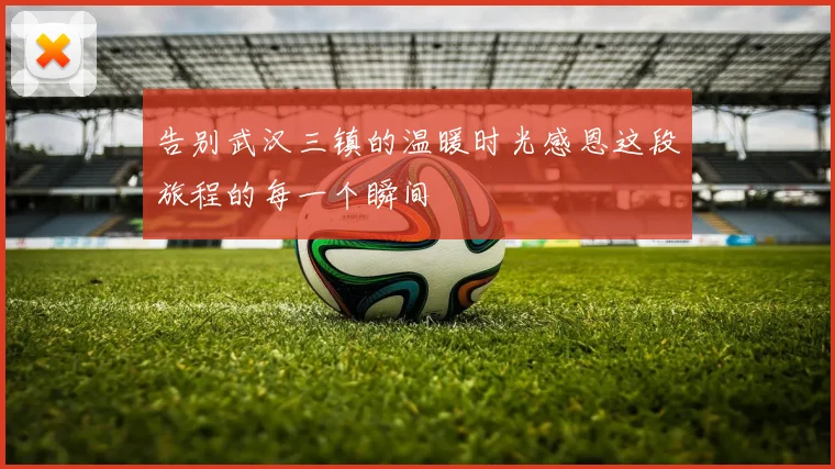 告别武汉三镇的温暖时光感恩这段旅程的每一个瞬间