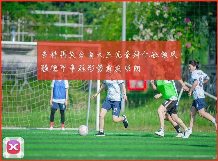 多特再失分南大王无奈拜仁独领风骚德甲争冠形势愈发明朗