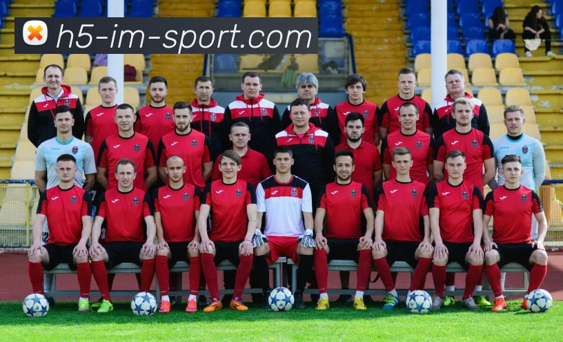 IM体育发展历程